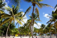 La Desirade, Guadeloupe