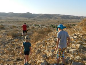 Desert Olive Farm, Negev Desert, Israel