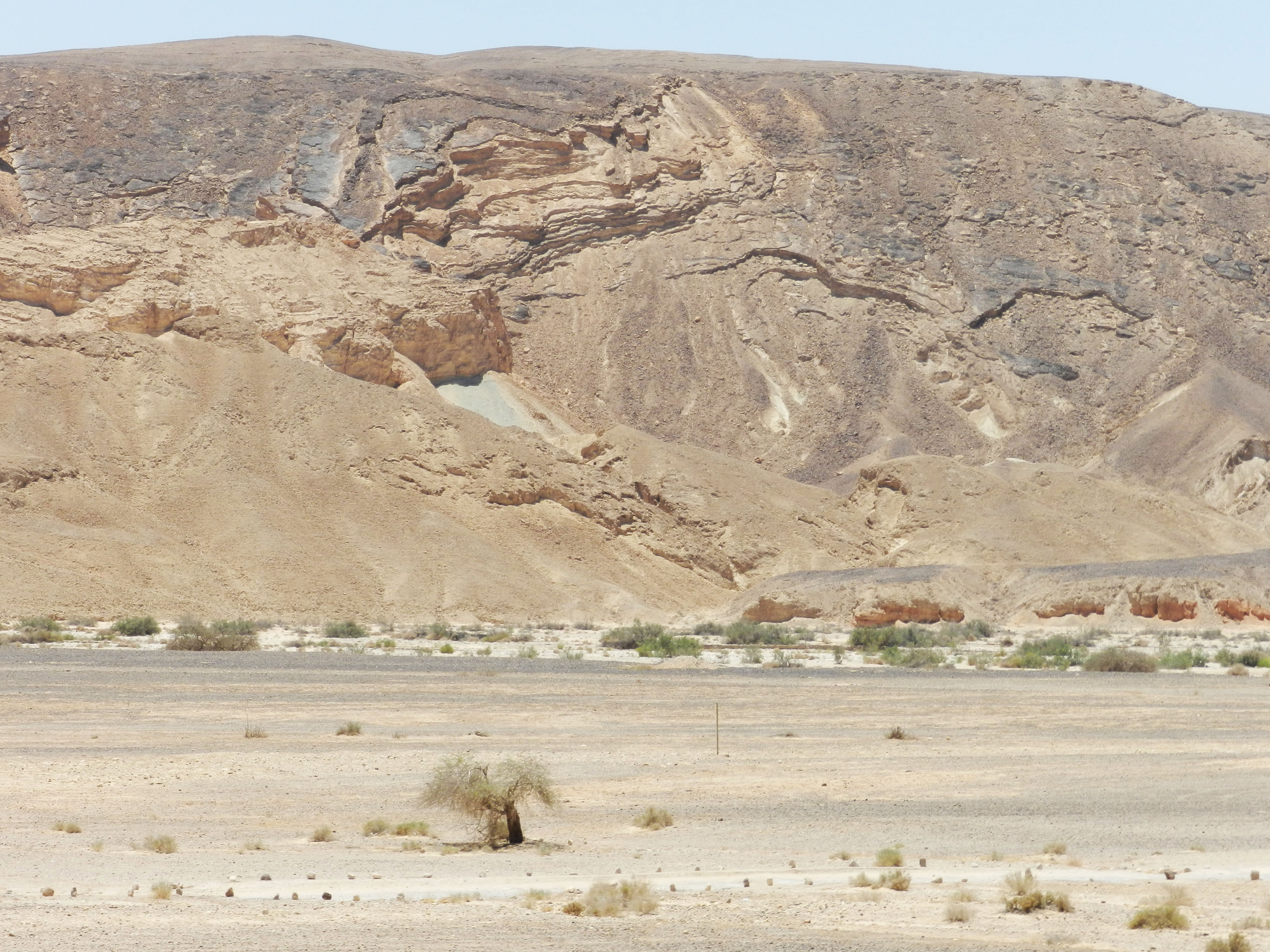 Negev Desert, Israel