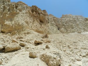 Ein Gedi Nature Reserve, Desert Negev, Israel