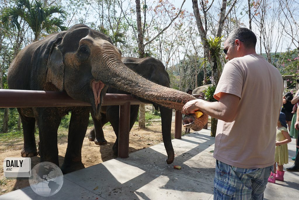 Phuket Elephant Sanctuary, Phuket Island, Thailand