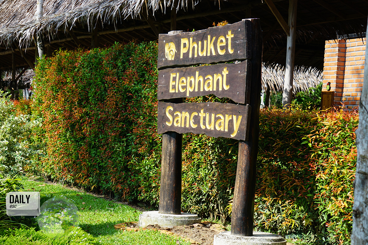 Phuket Elephant Sanctuary, Phuket Island, Thailand