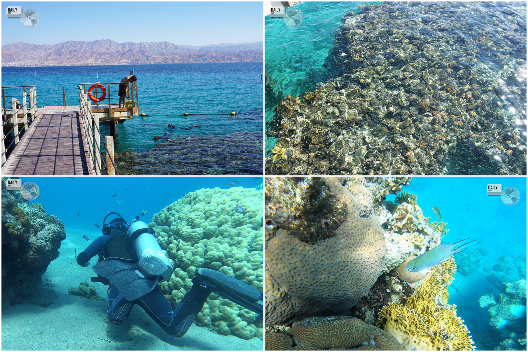Coral Beach Nature Reserve, Eilat, Israel 