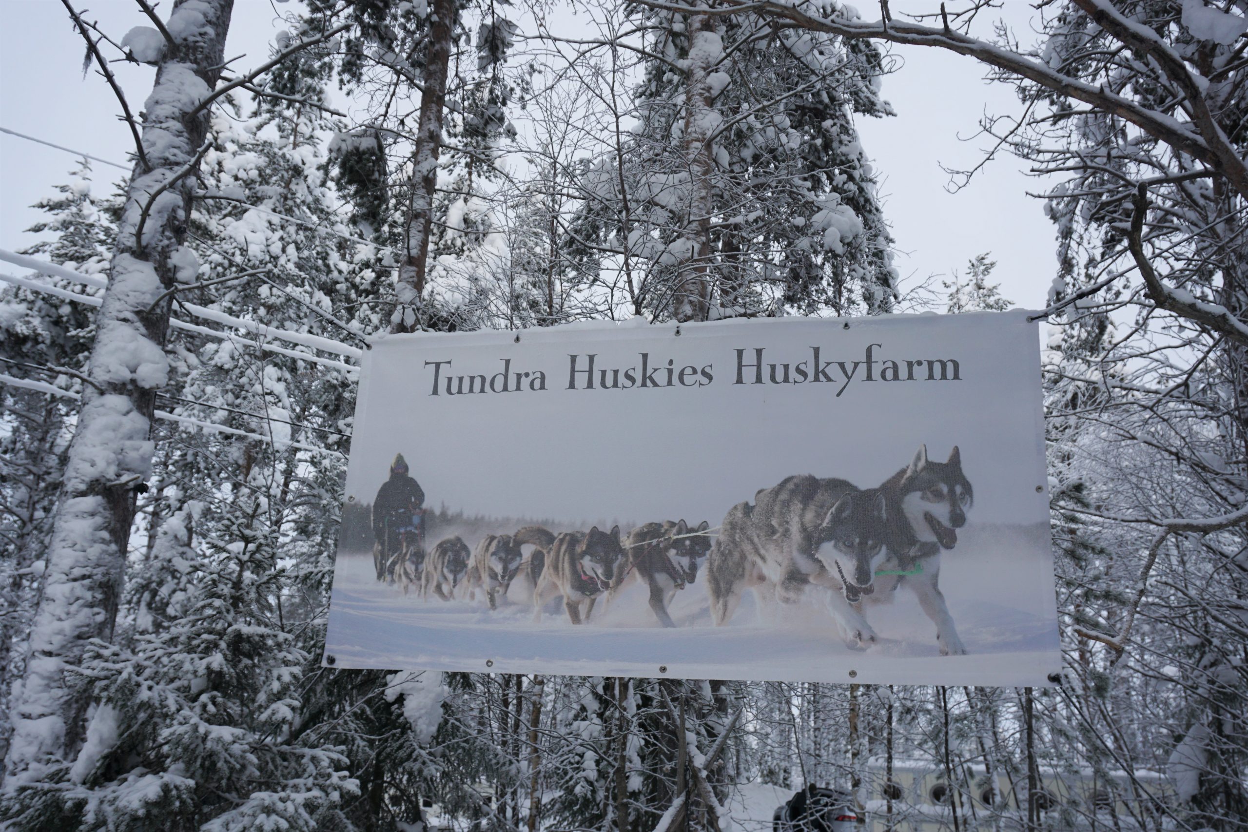 Tundra Hunskies Farm